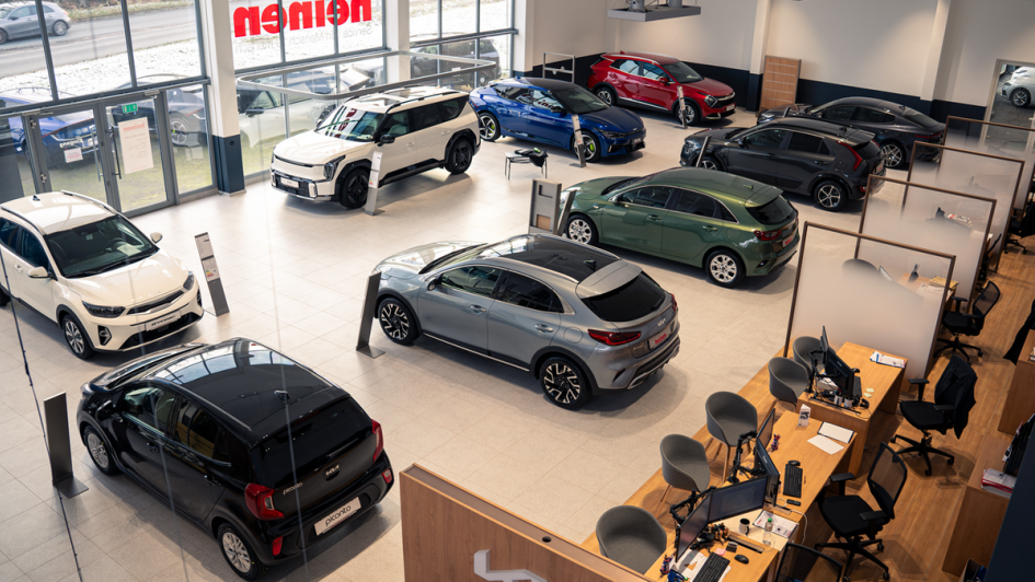 cupra8.png